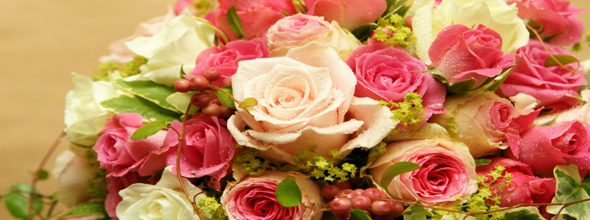 Bìa facebook với hình ảnh hoa đẹp sẽ khiến cho trang cá nhân của bạn trở nên nổi bật và độc đáo. Hãy xem ngay những bức ảnh đẹp và lựa chọn cho mình một bức ảnh hoa phù hợp để trang trí cho trang cá nhân của bạn.